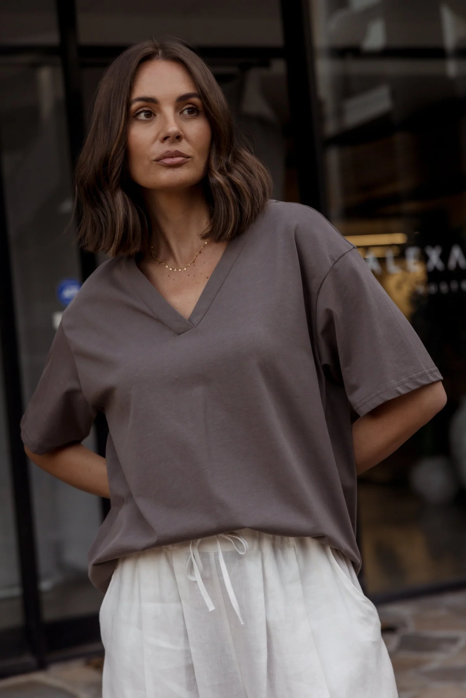 NIX V-Neck T-Shirt Taupe Brown